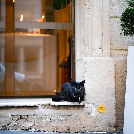 Vendome Saint-germain Parigi