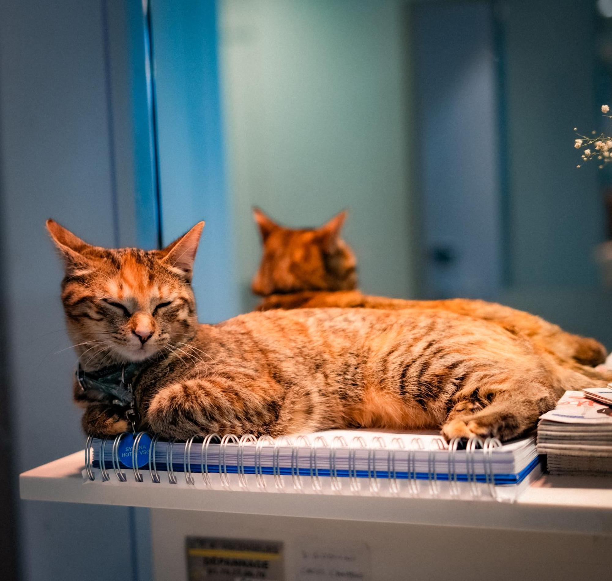 Vendome Saint-germain Hotel 3*